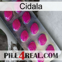 Cidala 09